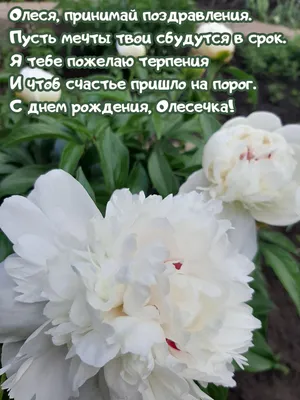 https://telegra.ph/S-Dnem-Rozhdeniya-Olesechka-Prikolnye-Kartinki-03-04