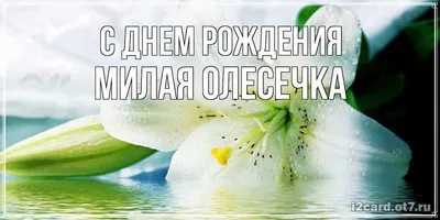 28 лет дружбы👭! А Вам слабо⁉️ (На четвёртом фото нам по 7 и 6 лет) С ДНЁМ  РОЖДЕНИЯ, ОЛЕСЕЧКА @potapova5789 🥳! ❤️Лучшая подруга детства☺️!… |  Instagram