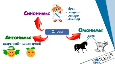 Омофоны Омонимы Омографы | Vlad_and_English | Дзен