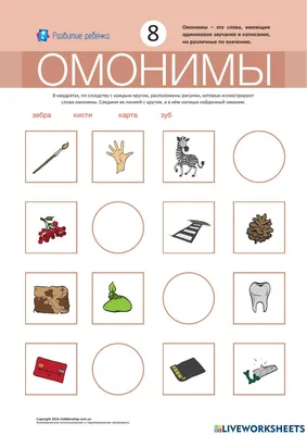 Шпаргалка обучающая \"Синонимы, антонимы, омонимы\" купить недорого в Москве  в интернет-магазине Maxi-Land