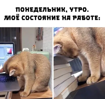 Сегодня вторник, а ощущение, что опять понедельник🙈 Поделимся с вами ещё  одной Персональной разработкой по заказу @dasha_russak ♥️ Самые … |  Instagram