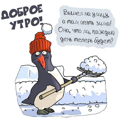 Опять снег?\": первый день зимы в Приморье удивит с самого утра -  UssurMedia.ru