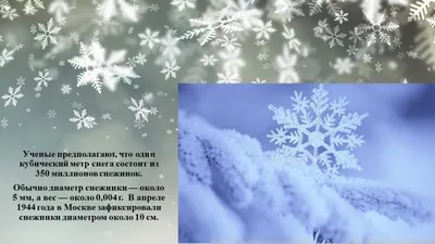 Опять зима в Волгодонске! Надолго ли | 02.02.2023 | Волгодонск - БезФормата