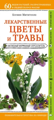 Отзыв о Книга \"Лечебные травы. Иллюстрированный справочник-определитель\" -  Татьяна Ильина | Лучший карманный определитель растений