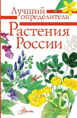 Книга Растения России. Определитель - отзывы покупателей на маркетплейсе  Мегамаркет | Артикул: 100026315788