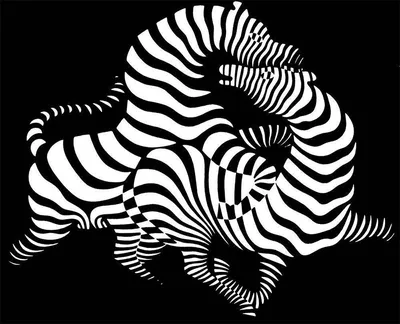 Какие оптические иллюзии могут видеть животные?