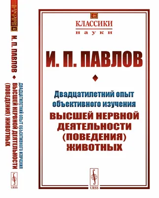 Опыт для детей «Пропавшая тень»