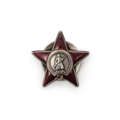 Орден Красной Звезды (2) - «VIOLITY»