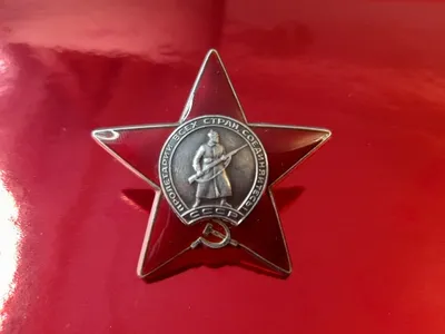 Похищенный орден «Красной звезды» вернула полиция Томска семье участника  Великой Отечественной войны