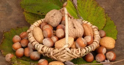 Ореховый Спас 2020: что святить, что нельзя делать в праздник
