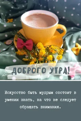 С добрым утром!#видеооткрытка #открыткасдобрымутром#открытка #рекоменд... |  TikTok