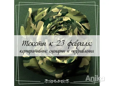 Оригинальные поздравления к 23 февраля Минск Anika.by