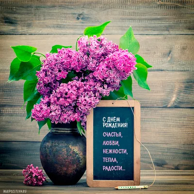 Поздравления с Днем рождения Мужчине | giftmall