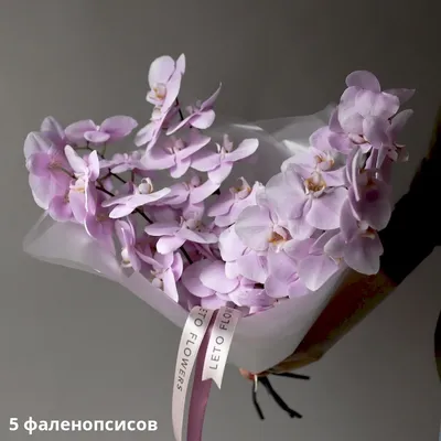 Орхидея, фаленопсис, микс цветов | KvětinyExpres.cz