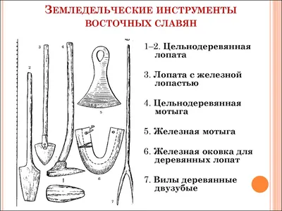 Презентация по истории на тему \"Восточнославянские племена и их соседи\"