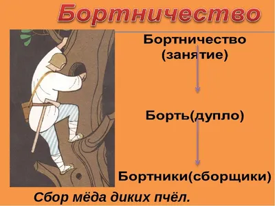 Презентация на тему: \"Занятия славян. Орудия труда VIII- IX веков. 1. Как  вы думаете, из какого материала сделаны эти орудия труда? 2. Назовите их и  для чего они использовались?\". Скачать бесплатно и