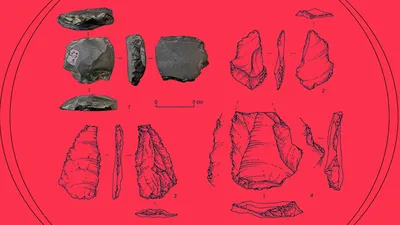 В Британии нашли орудия скорняков возрастом в 600 тысяч лет