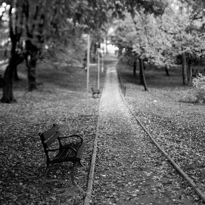 черно-белые оттенки ▫️ w/ @margarita_gorbacheva как проходит ваша осень? 🍂  | Instagram