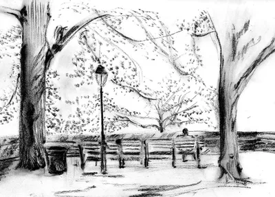 Осень для детей рисунок черно белый (43 фото) » Рисунки для срисовки и не  только