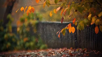 Осенний дождь вечером - 63 фото