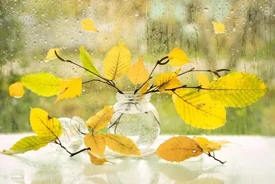 Осень. Дождь» картина Контуриева Вячеслава маслом на холсте — купить на  ArtNow.ru