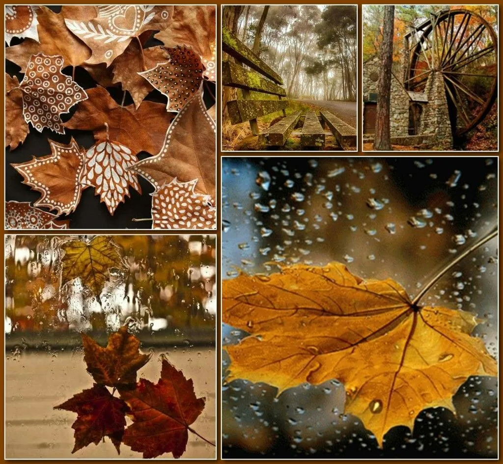 Коллаж Из Фотографий На Тему Осень