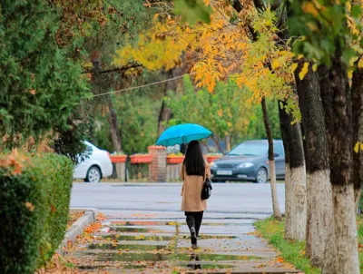 Дождь, осень, ночь, фонарь, дорога (Полина Мастицкая) / Стихи.ру