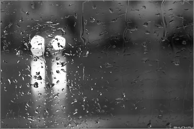 Моросящий осенний дождь | Пикабу