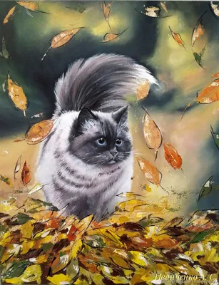 Трехцветная кошка , осень, на заборе…» — создано в Шедевруме