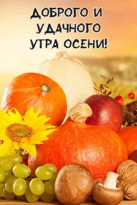 Пин от пользователя Ирина Жирнова на доске Осень | Осенние картинки,  Осенние фотографии, Осень