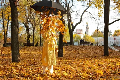 Осень в парке» картина Бойко Дмитрия маслом на холсте — купить на ArtNow.ru