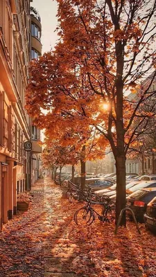 Красивейшая природа, осень в городе Стоковое Фото - изображение  насчитывающей «волга», перемещение: 26891052