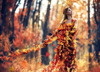 Настроение осень: атмосферные снимки золотой поры - UlanMedia.ru