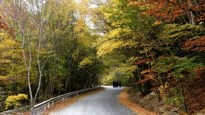 Осень 🍂🍁 | Осень, Эстетика, Разное