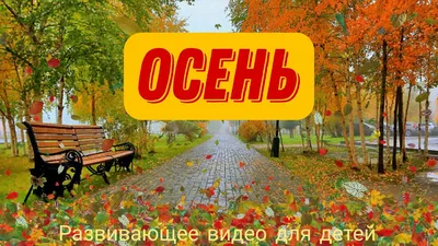 Золотая осень в Ташкенте - фото