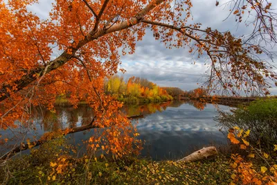 Красивая природа, осень стоковое фото. изображение насчитывающей одичало -  26891306