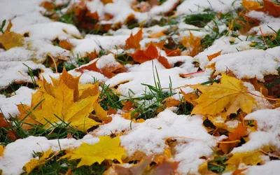 Первый снег в октябре. Красивые краски осени 🍁🍃🍂 | Интересное рядом.  Заметки из путешествий. 🌐 | Дзен