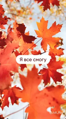 Осенние картинки. Обои для телефона. Осень. Листья | Осенние картинки,  Иллюстрации листьев, Цветочные фоны