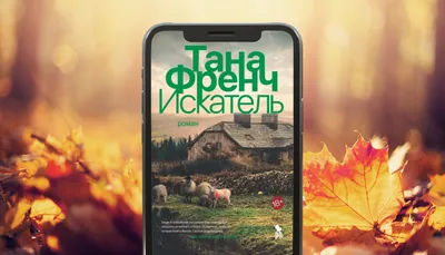 От Выборга до Рязани: где провести романтический уикенд золотой осенью |  WMJ.ru