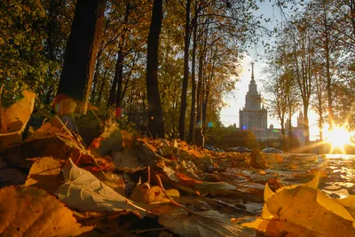 Москва, осень | Городские улицы, Фотографии, Город