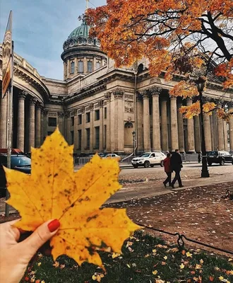 Золотая осень в Москве