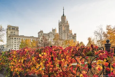 Старая Москва - Осенние впечатления
