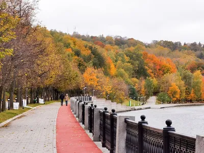 Осень в Москве,листопад,акварель, …» — создано в Шедевруме