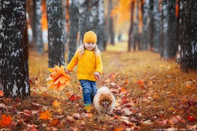 Осенние листья яркие с глазами, веселым ремеслом детей Стоковое Изображение  - изображение насчитывающей деревенский, глаза: 197696841