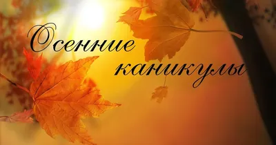 Осенние поделки для детей: 7 мастер-классов и 35 идей — BurdaStyle.ru