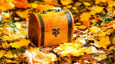 Обои \"Осень\" на рабочий стол, скачать бесплатно лучшие картинки Осень на  заставку ПК (компьютера) | mob.org