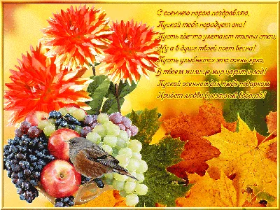 Осенние букеты из фруктов в Москве магазин \"Дива Букет\"