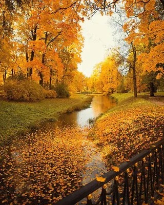 Осенние пейзажи | Пейзажи, Осенний пейзаж, Живописные фотографии