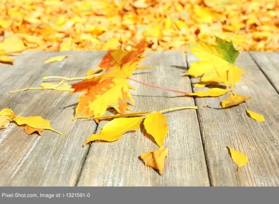 Картинки \"Хорошего осеннего дня!\" (100 шт.) | Осенний пейзаж, Пейзажи,  Осенние картинки