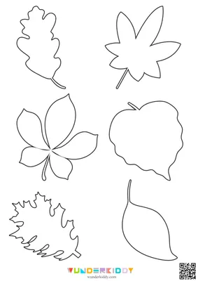 Набор черно-белых осенних листьев. раскраска для детей. | Премиум векторы
